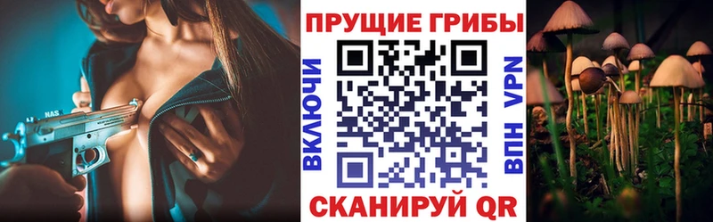 Псилоцибиновые грибы Cubensis  Нолинск 