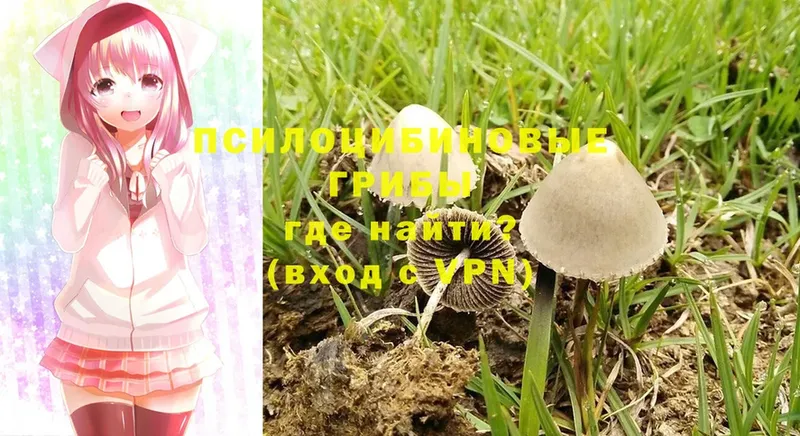 Псилоцибиновые грибы MAGIC MUSHROOMS  Нолинск 